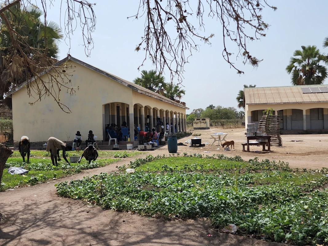 School Garden